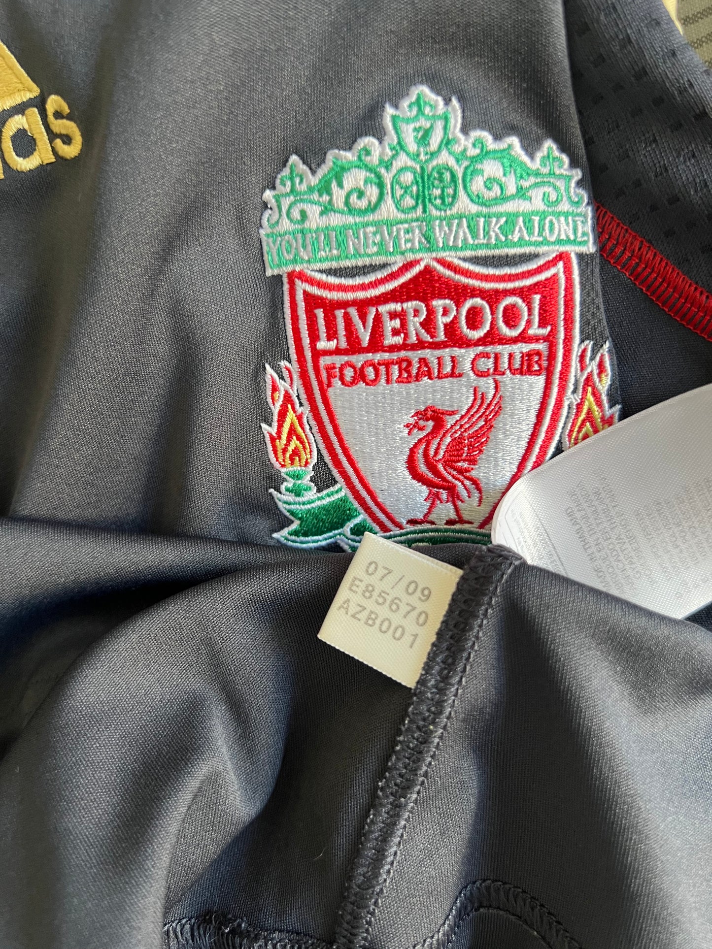 Torres - Liverpool 2009/2010. Str Small
